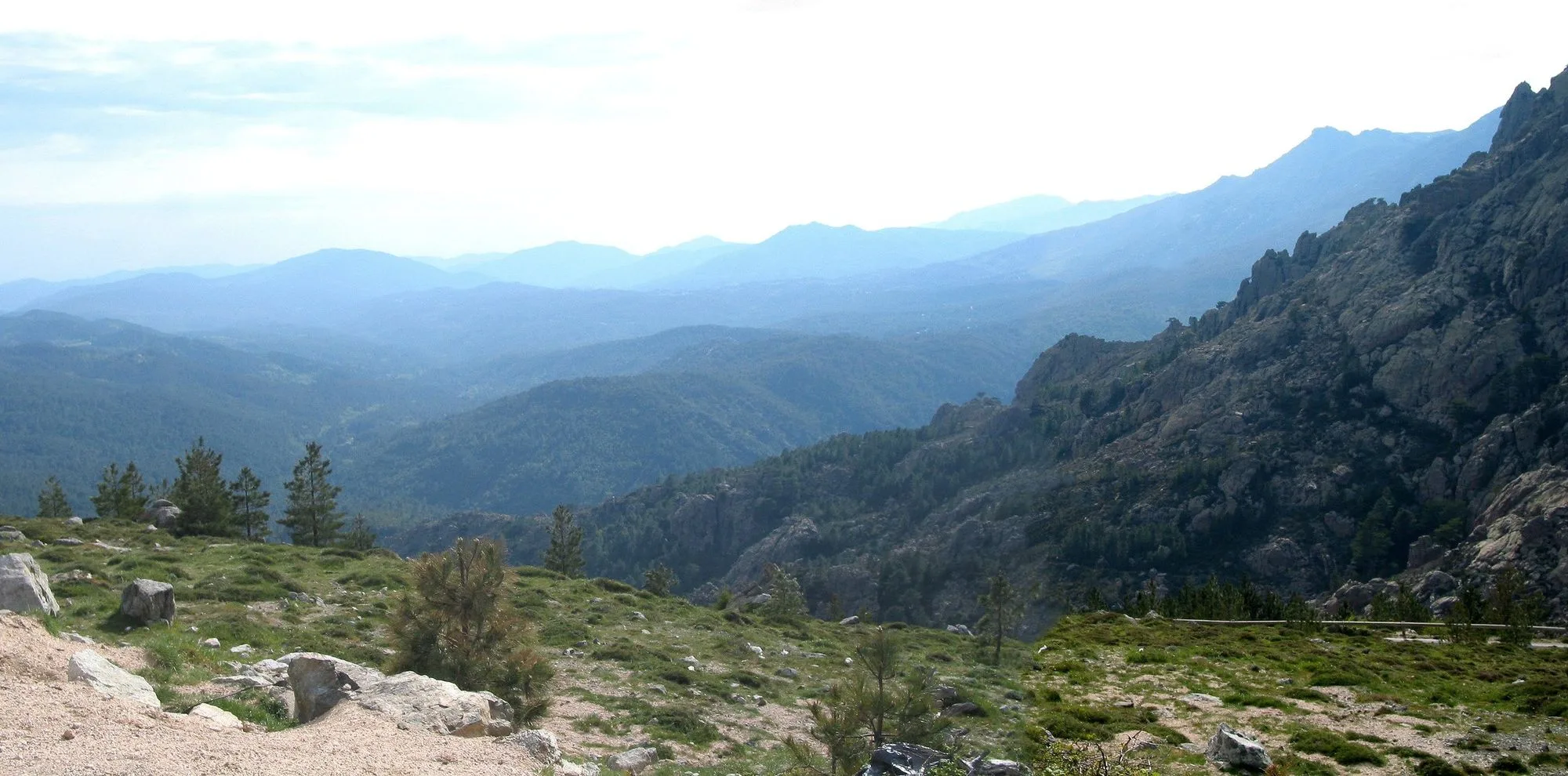 Paysage de l'Alta Rocca sur la commune de Zonza : crêtes boisées en enfilade, versant de granit à droite, jeunes pins et rochers au premier plan (mai 2008).