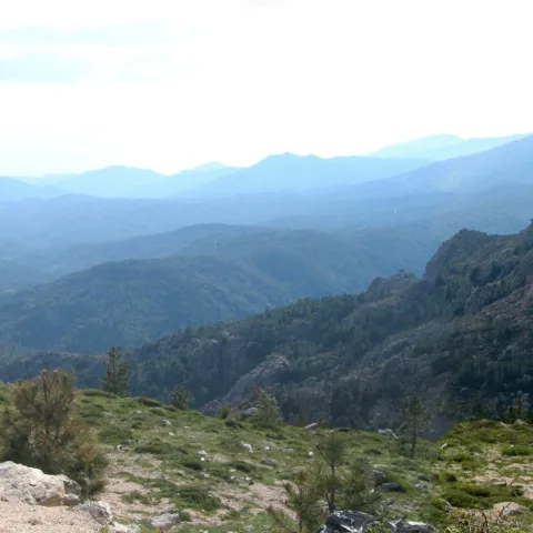 Paysage de l'Alta Rocca sur la commune de Zonza : crêtes boisées en enfilade et granit au premier plan.