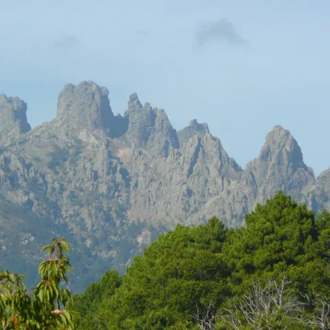 Les aiguilles de granit de Bavella vues depuis les environs de Zonza, forêt de pins au premier plan (septembre 2011).