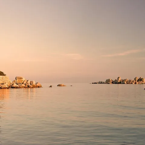 Pin parasol sur une pointe rocheuse de Palombaggia, murets de pierre, îlots de granit et mer d'huile dans la lumière dorée de fin de journée (juin 2005).
