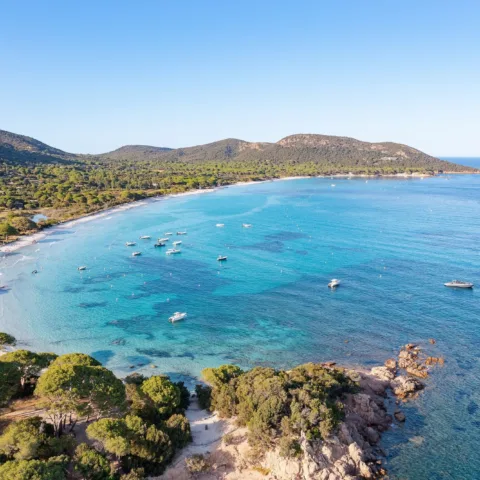 Vue aérienne de la baie de Palombaggia : sable clair, eau turquoise, pins parasols et bateaux au mouillage (juillet 2022).