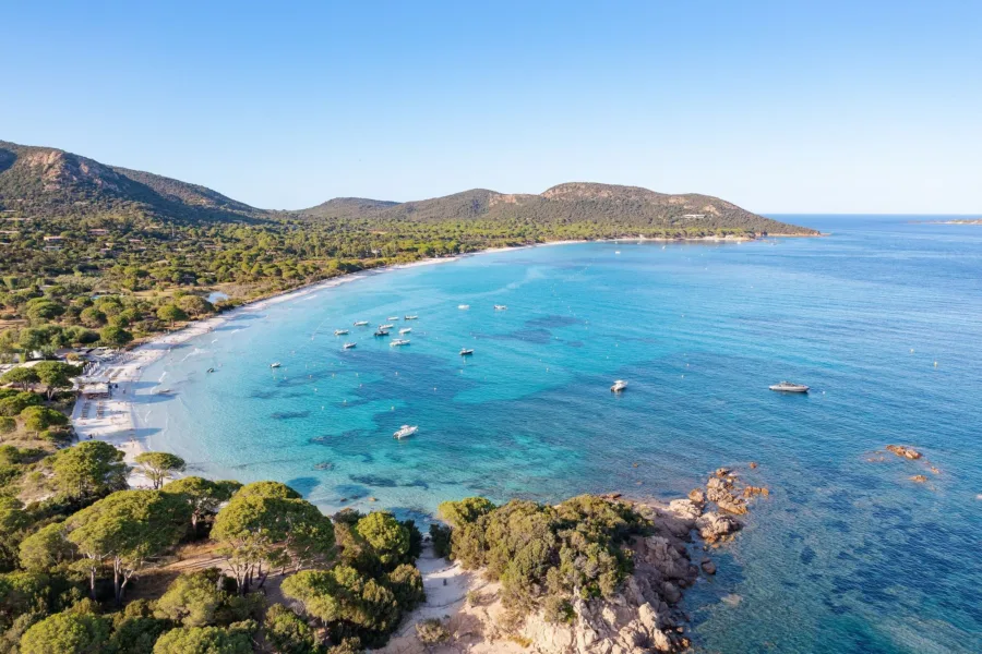 Vue aérienne de la baie de Palombaggia : sable clair, eau turquoise, pins parasols et bateaux au mouillage (juillet 2022).