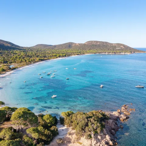 Vue aérienne de la baie de Palombaggia : sable clair, eau turquoise, pins parasols et bateaux au mouillage (juillet 2022).
