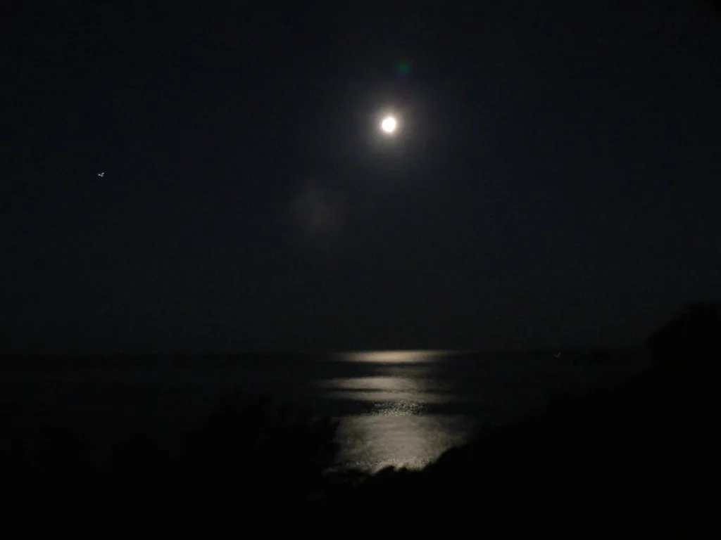 La lune presque pleine au-dessus de la mer et son reflet argenté, vue de nuit depuis la côte de Pinarellu (15 juillet 2008).