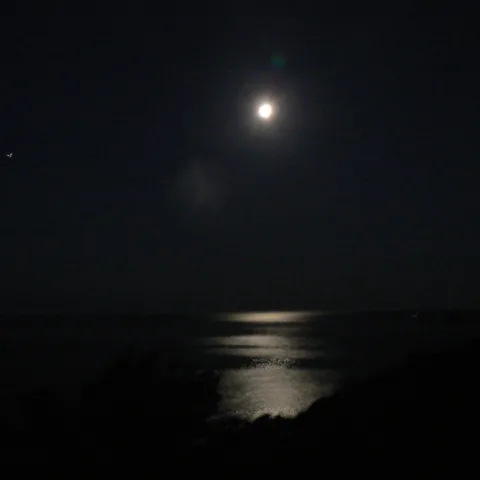 Pleine lune au-dessus de la mer et reflet argenté, vue nocturne depuis la côte de Pinarellu tournée vers l'est (15 juillet 2008).