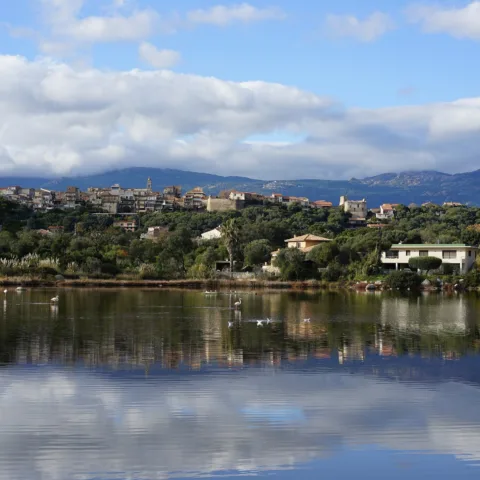 Porto-Vecchio vue depuis les salines : reflets dans l'eau, maisons de la haute ville et flamants roses au loin.