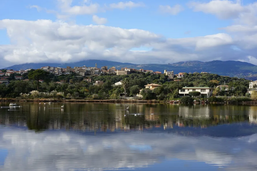 Porto-Vecchio vue depuis les salines : reflets dans l'eau, maisons de la haute ville et flamants roses au loin.