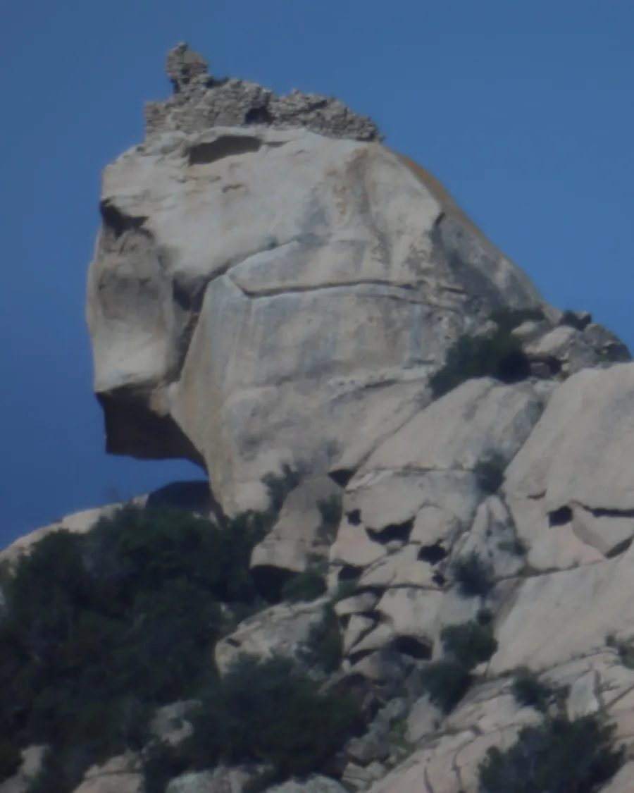 Le rocher du Lion de Roccapina, formation de granit en forme de lion couché, sur fond de ciel bleu.