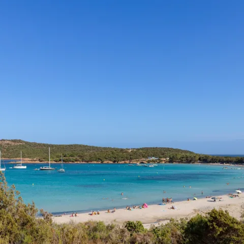 La baie en fer à cheval de Rondinara vue depuis le maquis, eau turquoise, voiliers au mouillage et plage fréquentée (juillet 2022).