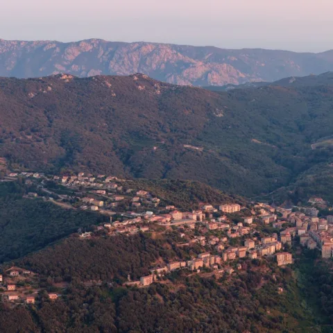 Sartène vue de loin sur son éperon, dans une lumière douce et rosée, montagnes du Sartenais en arrière-plan (août 2026).
